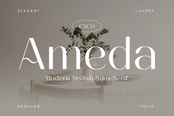 Ameda: The Modern Sans-Serif for Sophisticated Design